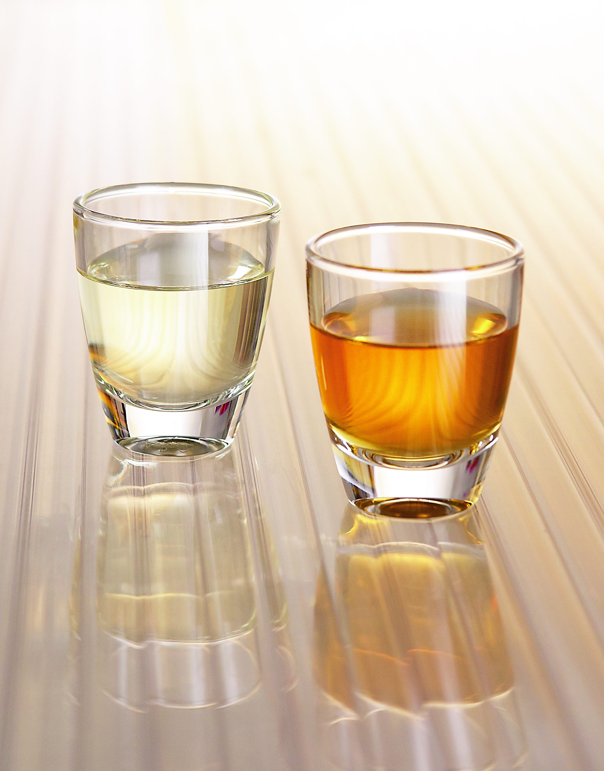 Gin 12 Shot 2cl /-/ (24er Karton)